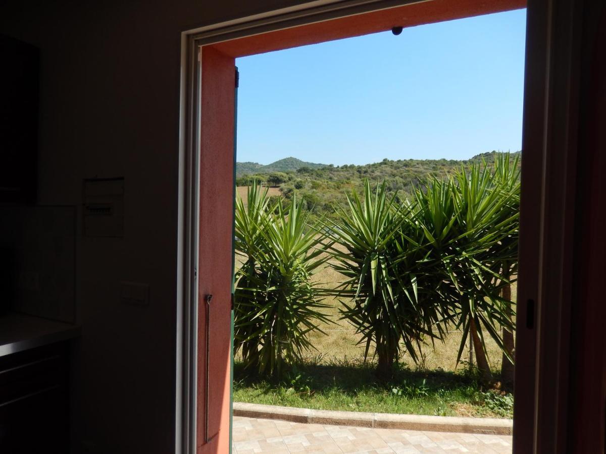 Nuit Calme Sur Domaine Apartment Calcatoggio  Exterior photo