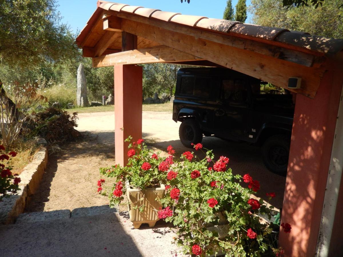 Nuit Calme Sur Domaine Apartment Calcatoggio  Exterior photo